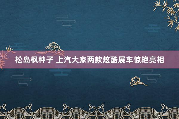 松岛枫种子 上汽大家两款炫酷展车惊艳亮相