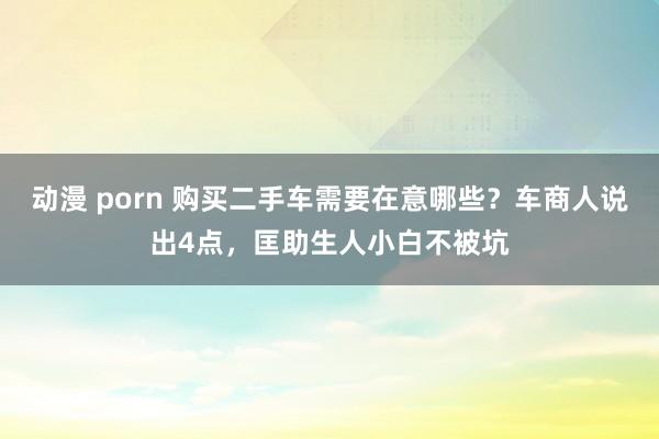 动漫 porn 购买二手车需要在意哪些？车商人说出4点，匡助生人小白不被坑