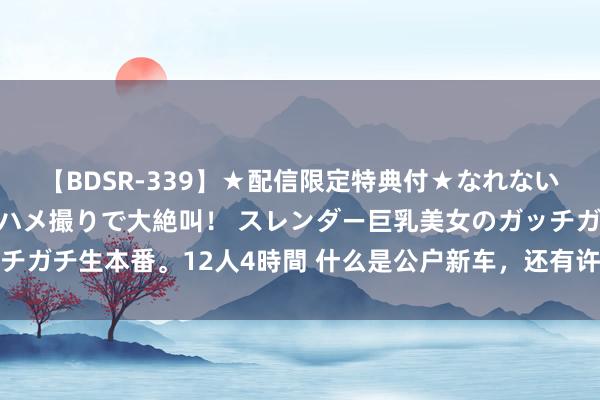 【BDSR-339】★配信限定特典付★なれない感じの新人ちゃんが初ハメ撮りで大絶叫！ スレンダー巨乳美女のガッチガチ生本番。12人4時間 什么是公户新车，还有许多东说念主不知说念